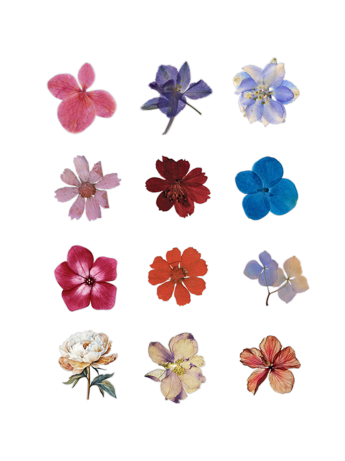Pressed Flowers Fussy Cuts | Set of 48 Pre-Cut Stickers (3 cm)