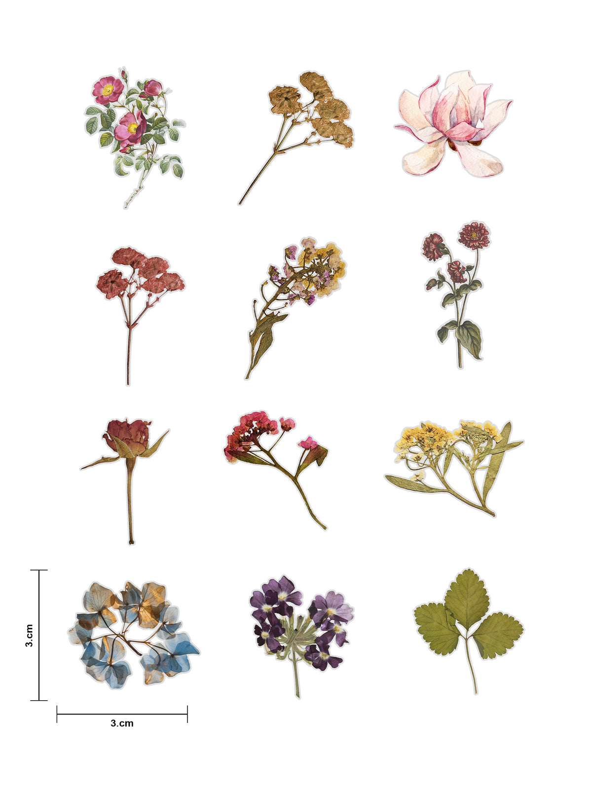 Pressed Flowers Fussy Cuts | Set of 48 Pre-Cut Stickers (3 cm)