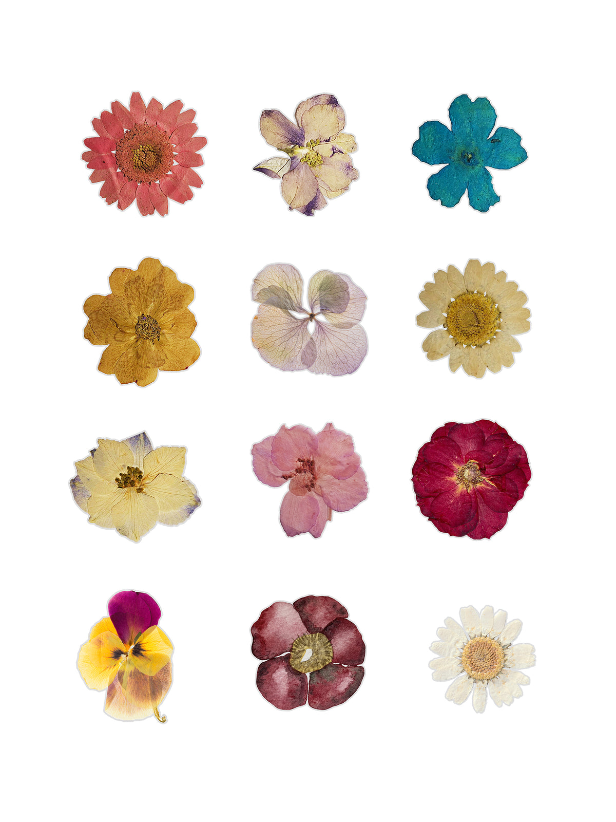 Pressed Flowers Fussy Cuts | Set of 48 Pre-Cut Stickers (3 cm)