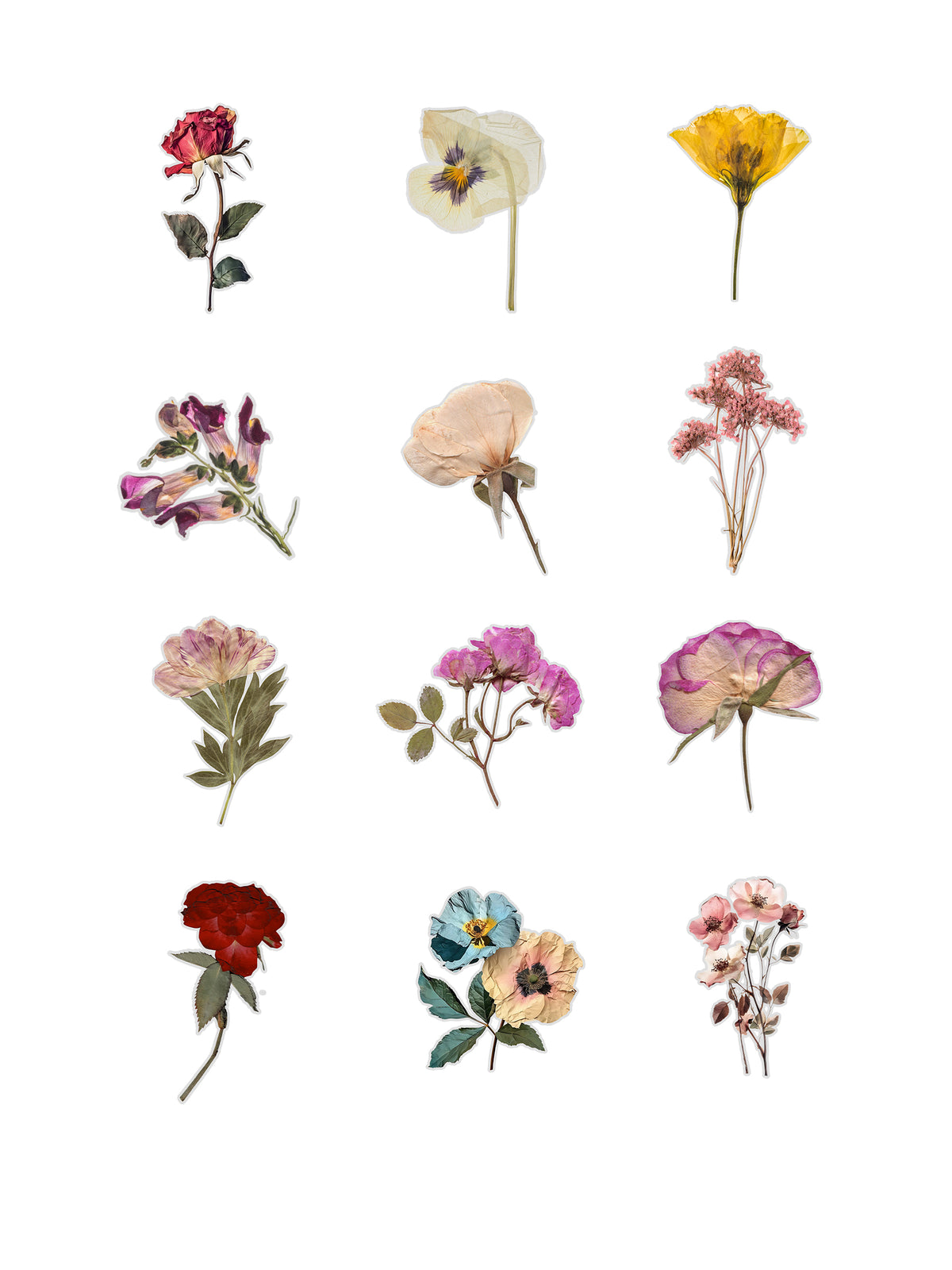 Pressed Flowers Fussy Cuts | Set of 48 Pre-Cut Stickers (3 cm)